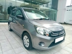 Suzuki Celerio 2015 Car