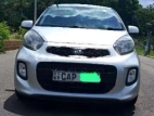 Kia Picanto 2016 Car