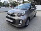 Kia Picanto 2016 Car