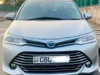 Toyota Axio G Grade 2020 Car