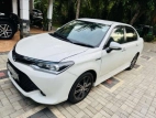 Toyota Axio WXB 2017 Car