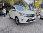 Suzuki Celerio 2015 Car