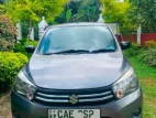 Suzuki Celerio 2014 Car