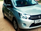 Suzuki Celerio 2015 Car