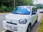 Suzuki Alto 2024 Car
