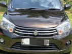 Suzuki Celerio 2014 Car