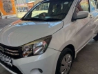 Suzuki Celerio 2017 Car