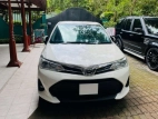 Toyota Axio 2019 Car