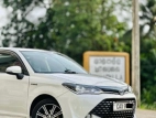 Toyota Axio 2017 Car