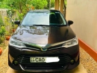 Toyota Axio G Grade 2015 Car