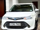Toyota Axio 2017 Car