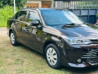 Toyota Axio G Grade Limited 2015 Car - image 3