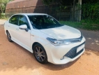 Toyota Axio WXB 2017 Car
