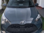 Toyota Yaris 2025 Car