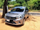 Suzuki Celerio 2015 Car