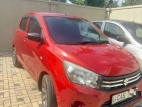 Suzuki Celerio Vxi 2015 Car