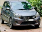 Suzuki Celerio 2016 Car