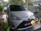 Toyota Vitz 2019 Car