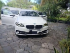 BMW 520d 5 Series 2013 Car