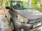 Suzuki Celerio 2015 Car