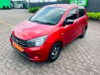 Suzuki Celerio 2015 Car