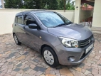 Suzuki Celerio 2015 Car
