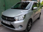 Suzuki Celerio ZXI 2016 Car