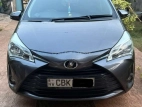 Toyota Vitz 2017 Car