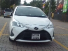 Toyota Vitz 2019 Car