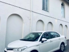 Toyota Axio 2017 Car