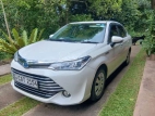 Toyota Axio 2016 Car