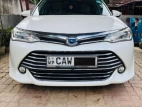 Toyota Axio G Grade 2016 Car