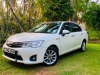 Toyota Axio G Grade 2013 Car