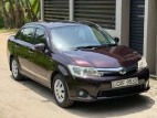 Toyota Axio G Grade 2015 Car