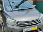 Suzuki Celerio 2015 Car