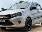 Suzuki Celerio 2014 Car