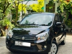 Suzuki Celerio 2015 Car