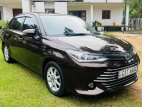 Toyota Axio G Grade 2016 Car
