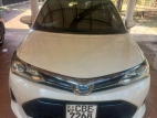 Toyota Axio Wxb 2018 Car