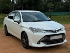 Toyota Axio G Grade 2015 Car