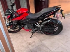Bajaj Pulsar 135 2019 Motorbike