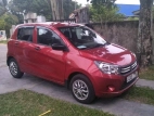 Suzuki Celerio 2014 Car
