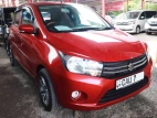 Suzuki Celerio 2017 Car