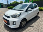 Kia Picanto 2016 Car