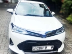 Toyota Axio Corolla WXB 2018 Car