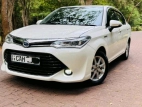 Toyota Axio G Safety 2015 Car