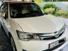 Toyota Axio 2015 Car