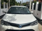 Toyota Axio Wxb 2017 Car