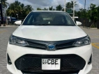 Toyota Axio 2018 Car