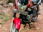 Bajaj Platina 100 2008 Motorbike